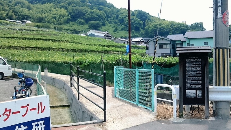 イメージ 2