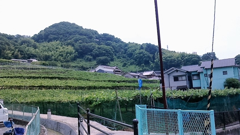 イメージ 3