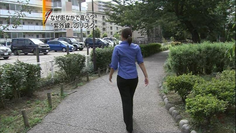 イメージ 5