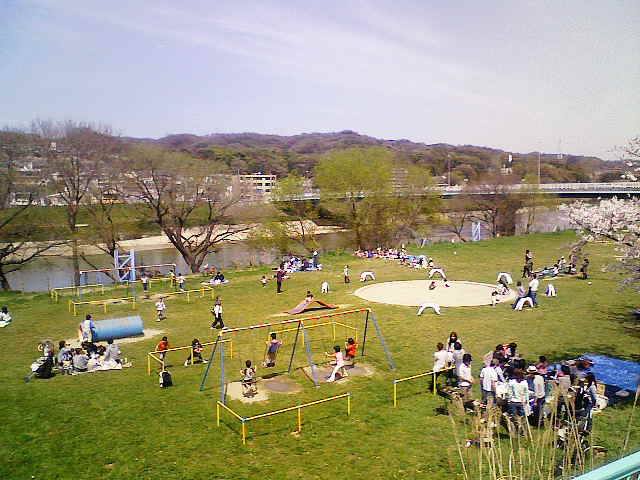 イメージ 3