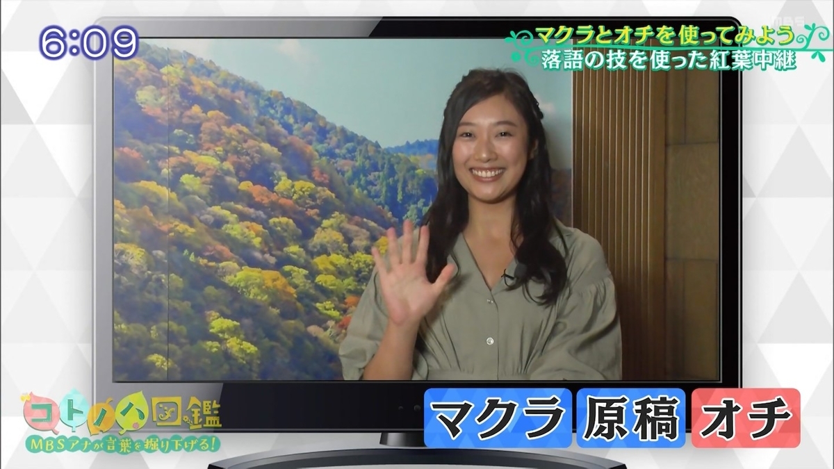 f:id:budou102000:20191207061024j:plain