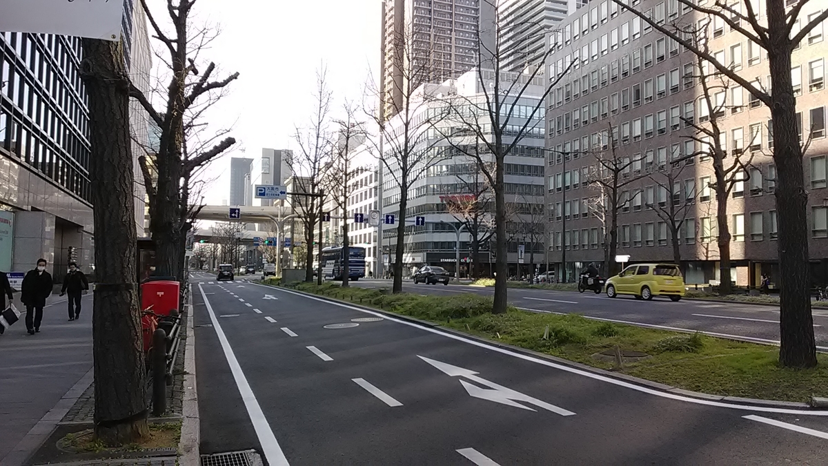 f:id:budou102000:20200223084418j:plain