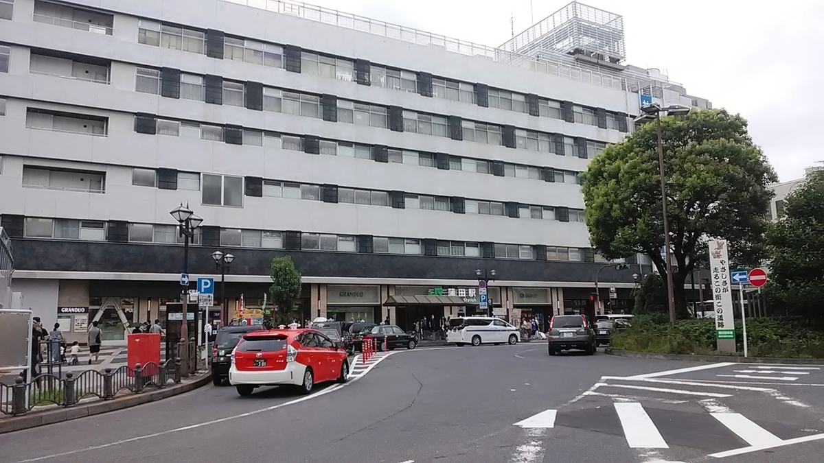 f:id:budou102000:20200702124721j:plain