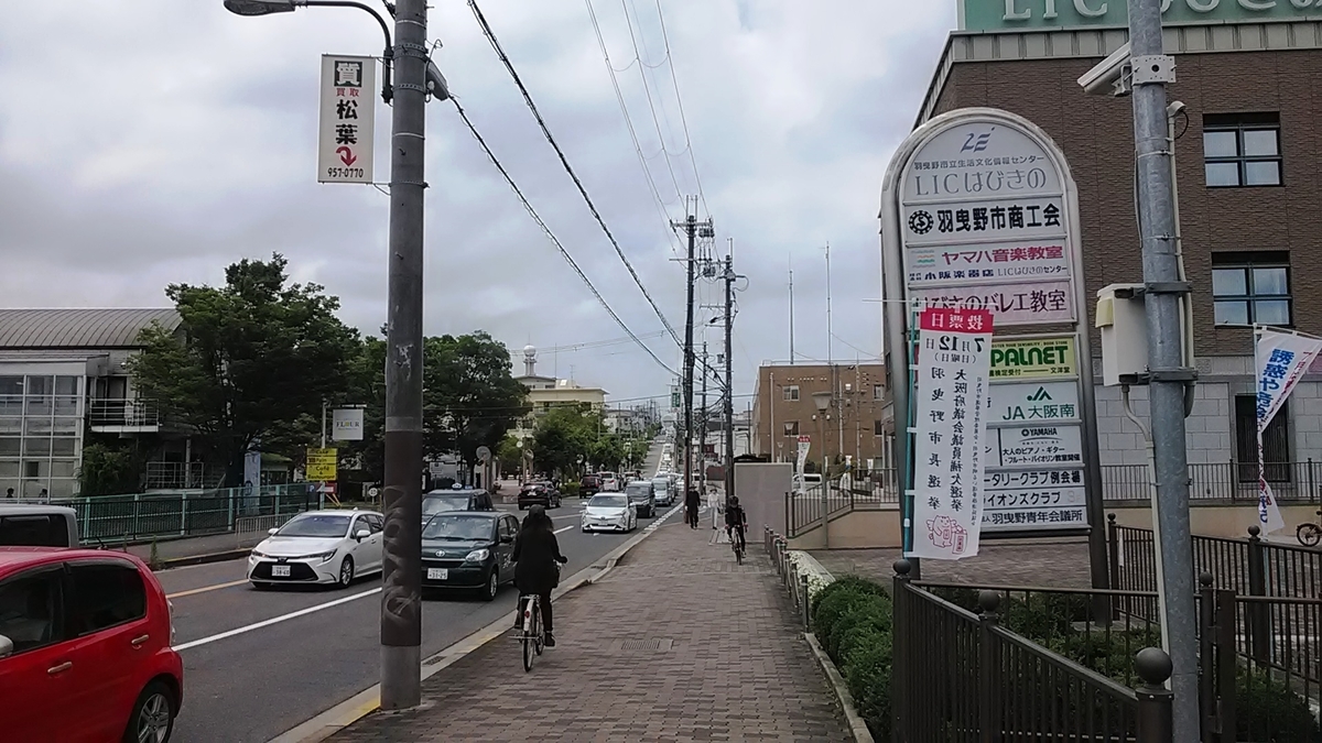 f:id:budou102000:20200707115901j:plain