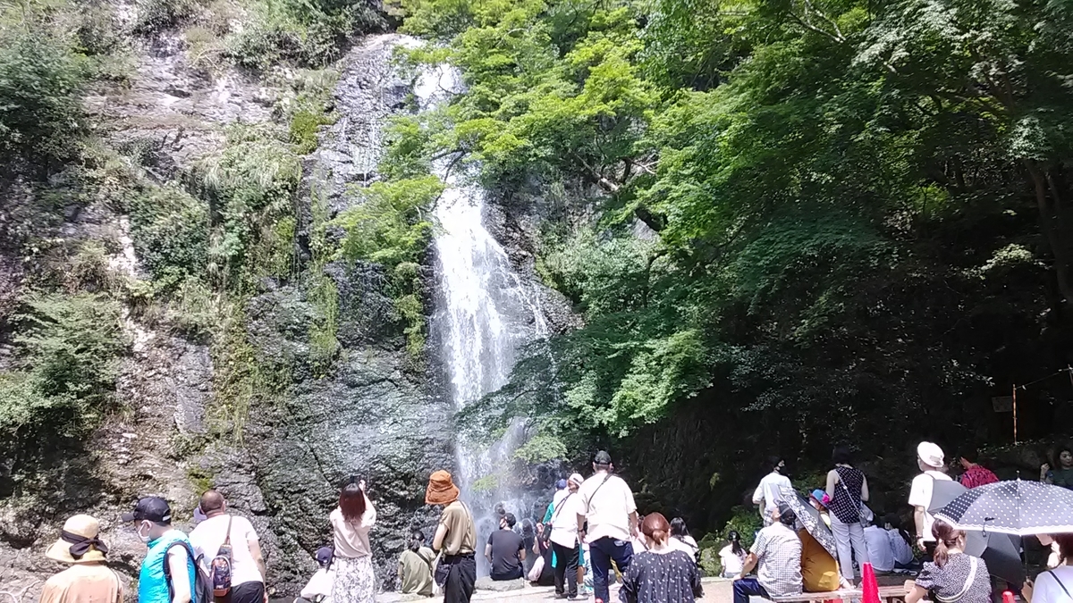 f:id:budou102000:20200818133225j:plain