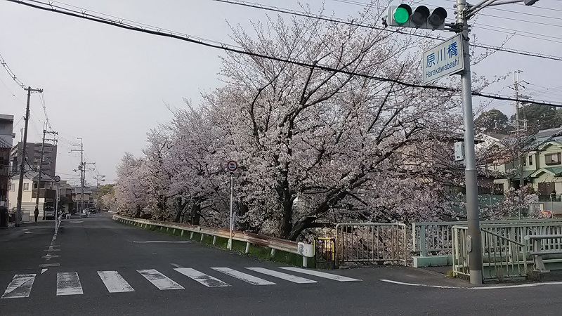 f:id:budou102000:20210403000301j:plain