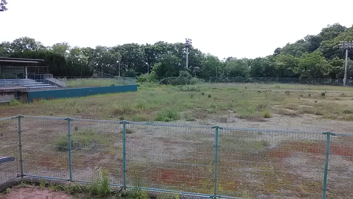 f:id:budou102000:20210522213846j:plain