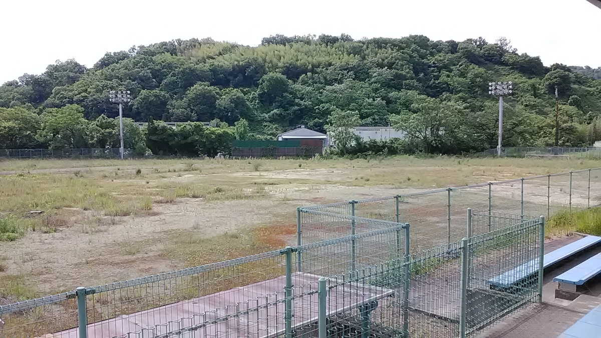 f:id:budou102000:20210522213904j:plain