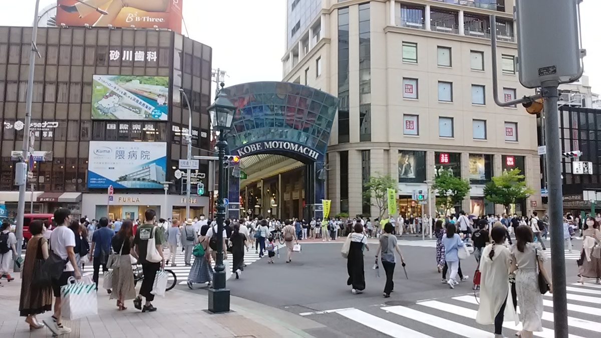 f:id:budou102000:20210720141132j:plain