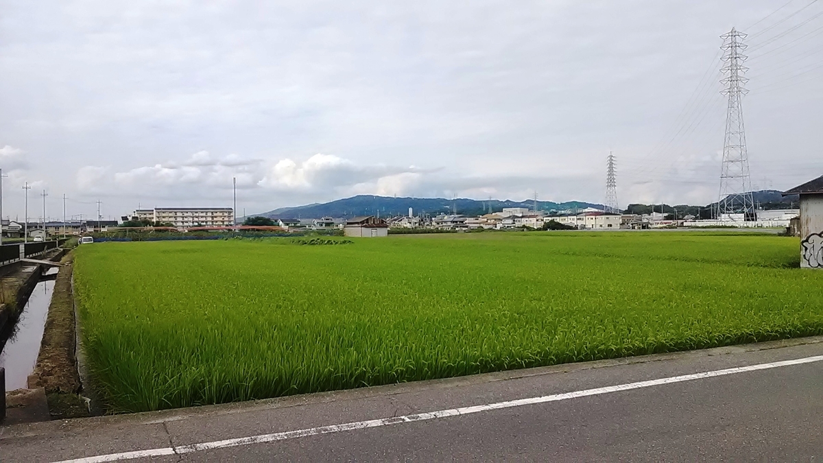 f:id:budou102000:20210907132449j:plain