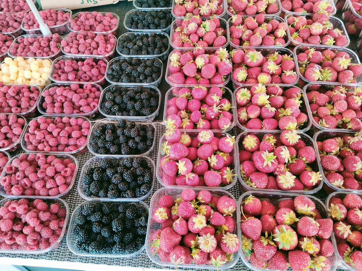 海外旅行のツアーに一人で初参加。結果、どうだったか？ ぶどうさんのブログ