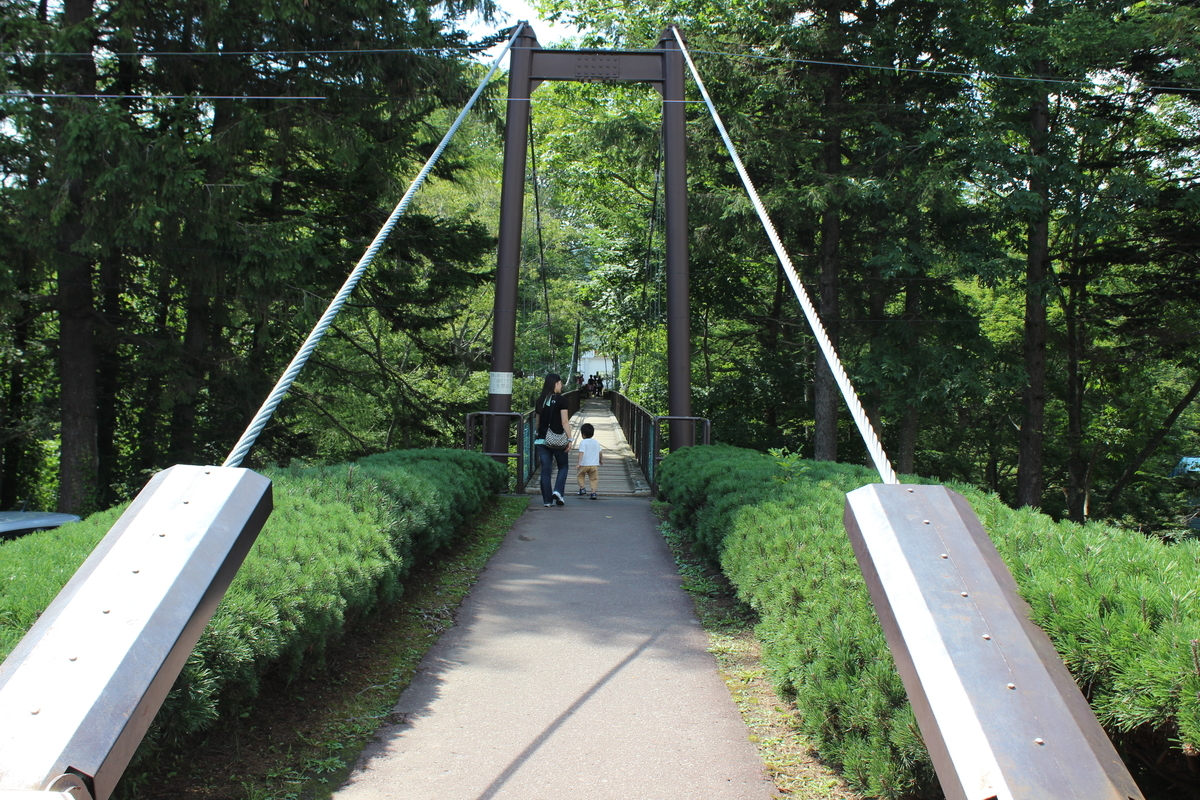 f:id:budoutorinngo:20190331223712j:plain