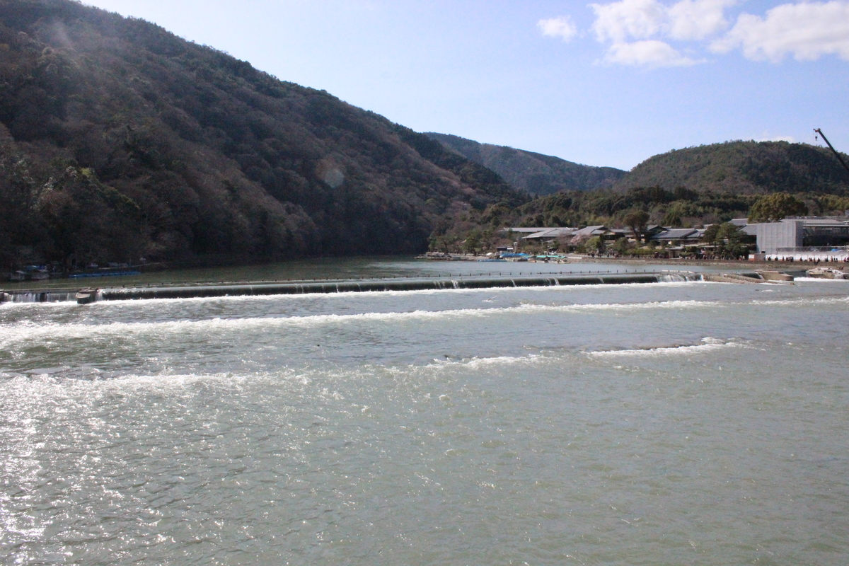 f:id:budoutorinngo:20190420020136j:plain