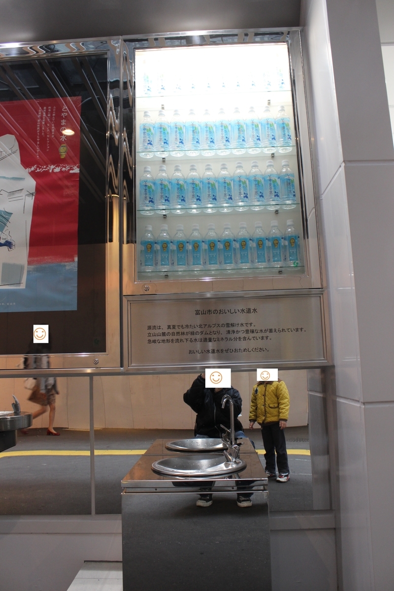 f:id:budoutorinngo:20190420235750j:plain