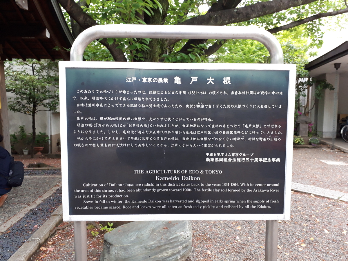 f:id:budoutorinngo:20190428023801j:plain f:id:budoutorinngo:20190428023801j:plain