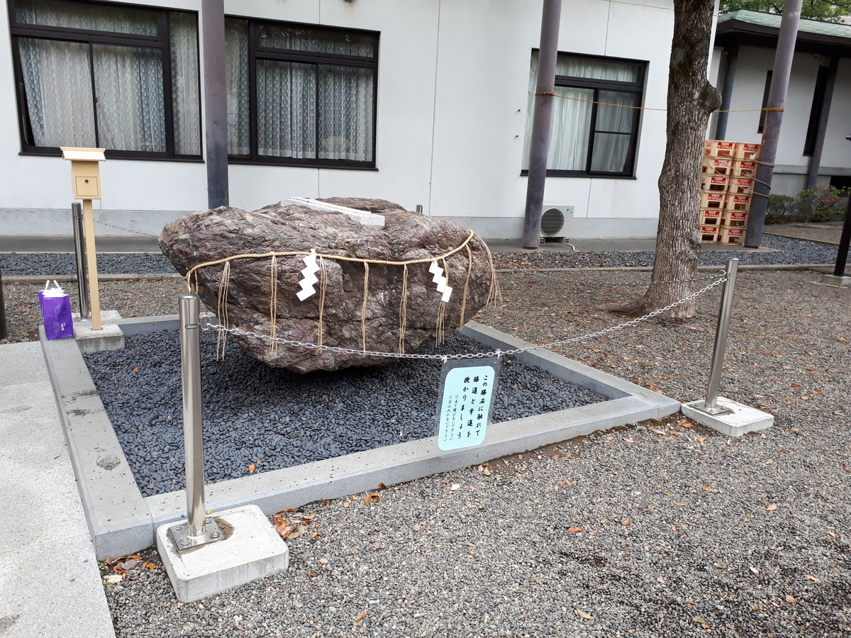 f:id:budoutorinngo:20190428030031j:plain f:id:budoutorinngo:20190428030031j:plain