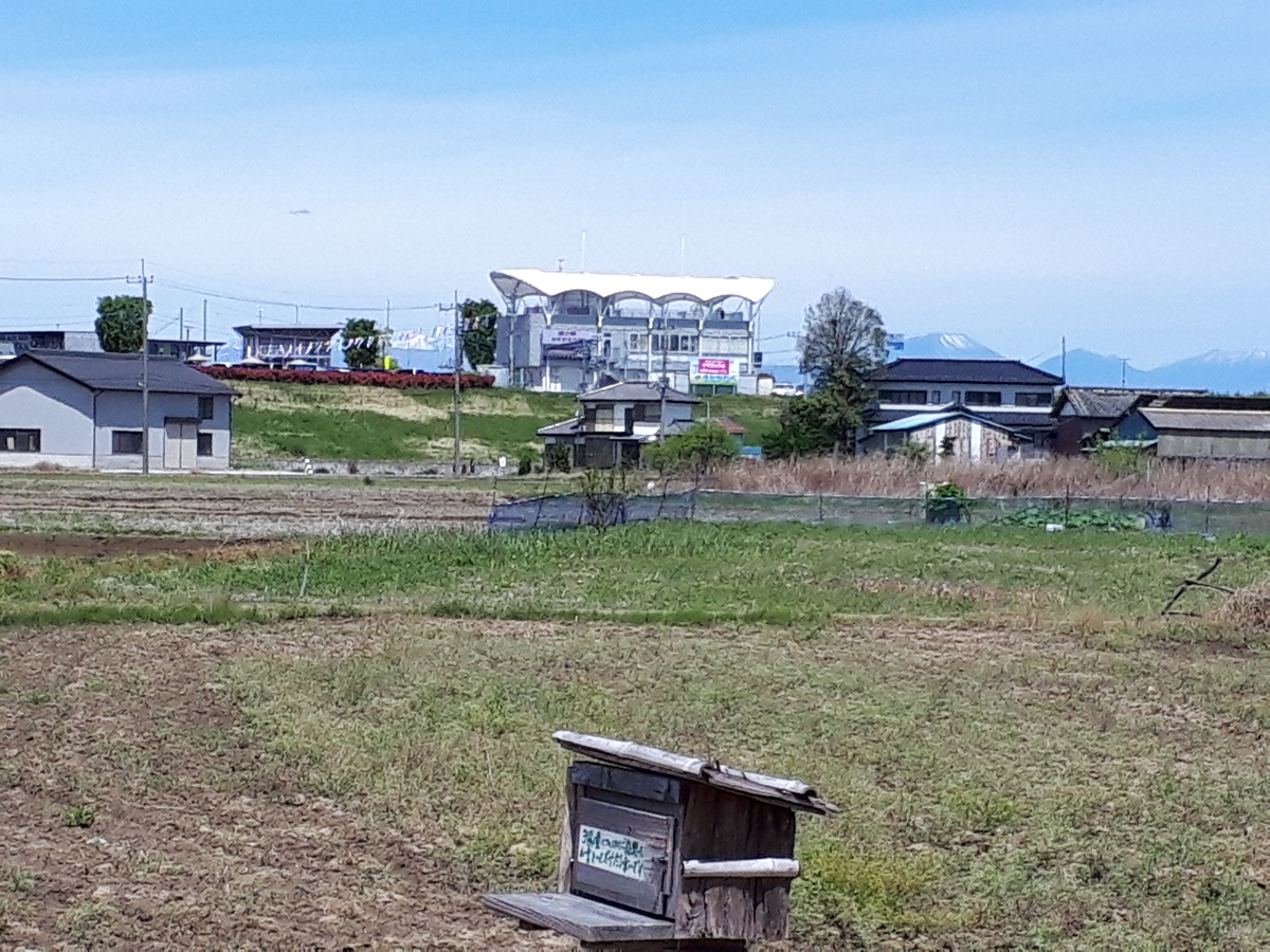 f:id:budoutorinngo:20190501110527j:plain f:id:budoutorinngo:20190501110527j:plain