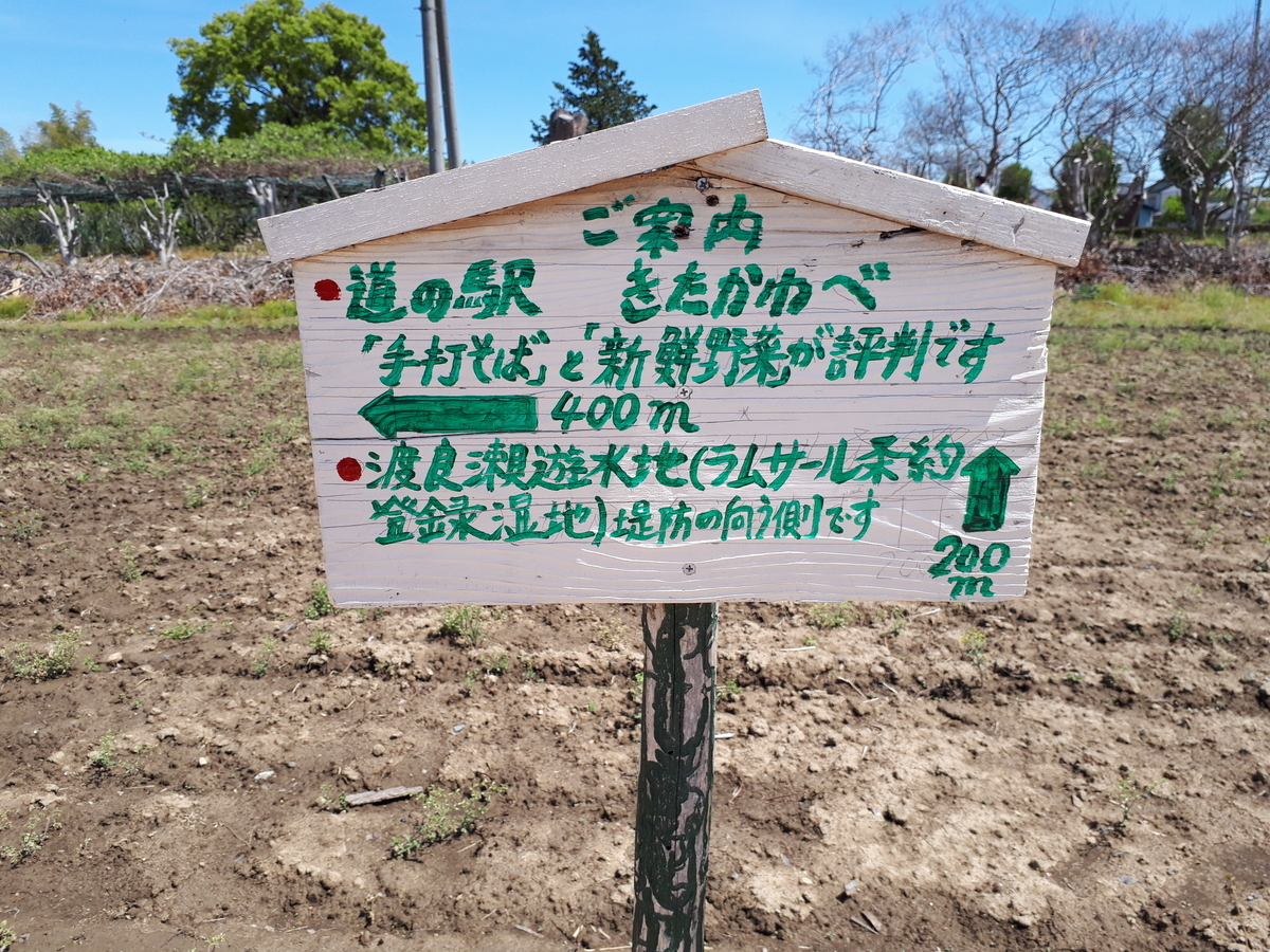 f:id:budoutorinngo:20190501111449j:plain f:id:budoutorinngo:20190501111449j:plain