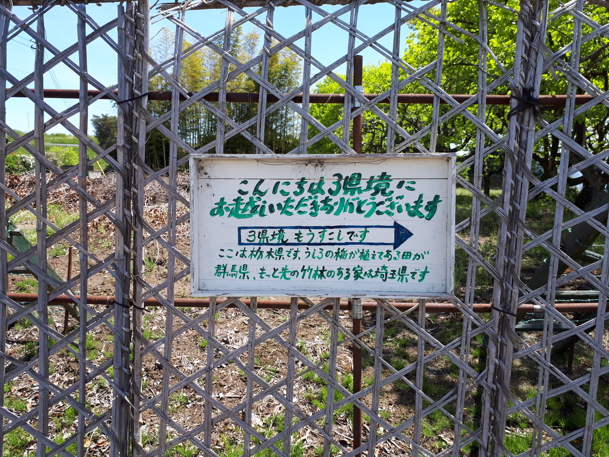 f:id:budoutorinngo:20190501111544j:plain f:id:budoutorinngo:20190501111544j:plain