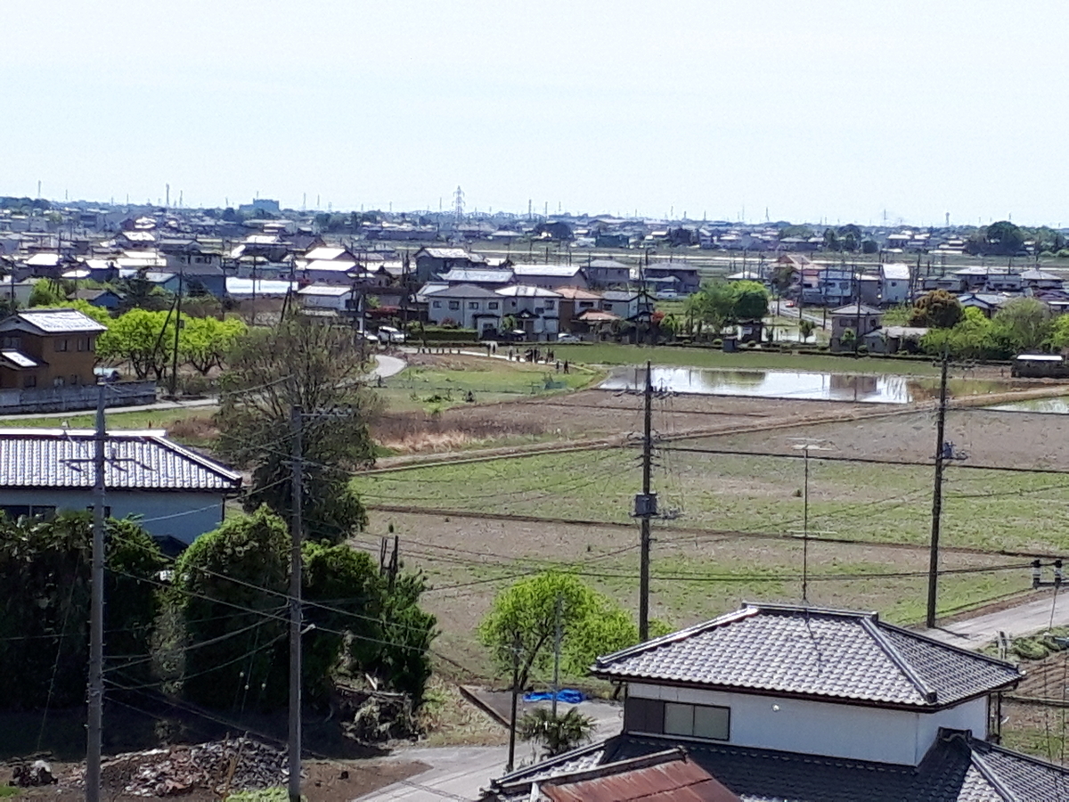 f:id:budoutorinngo:20190501120137j:plain f:id:budoutorinngo:20190501120137j:plain