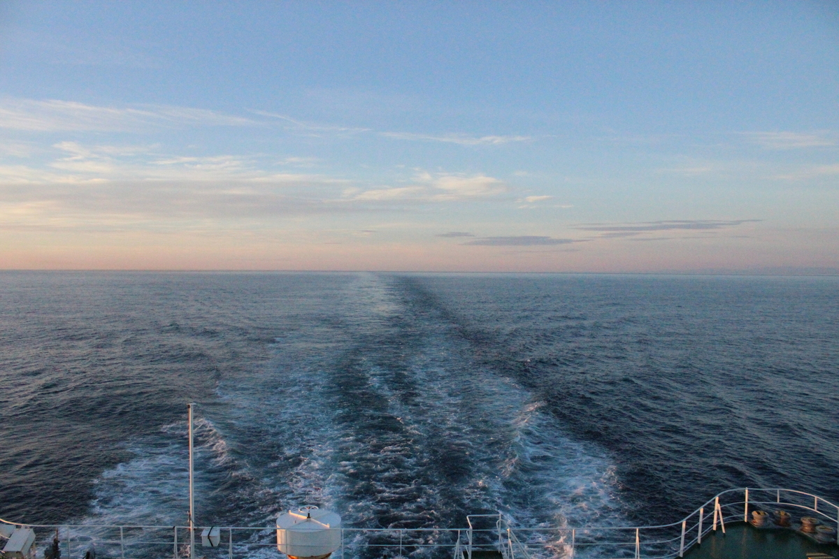 f:id:budoutorinngo:20190510232412j:plain