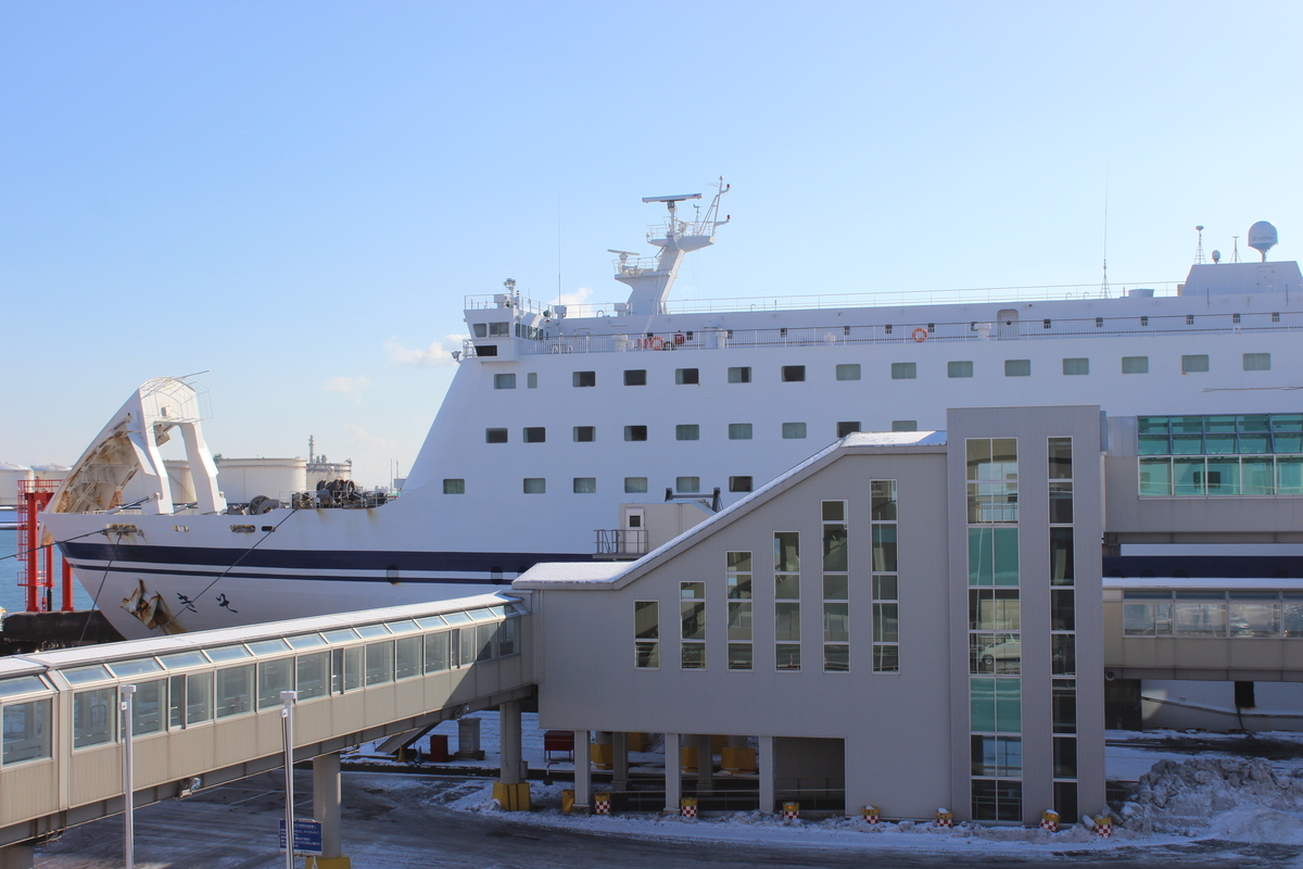 f:id:budoutorinngo:20190510234546j:plain