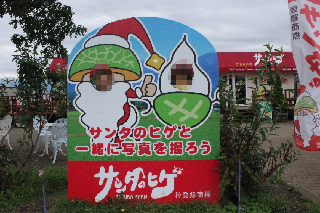 f:id:budoutorinngo:20190516234623j:plain