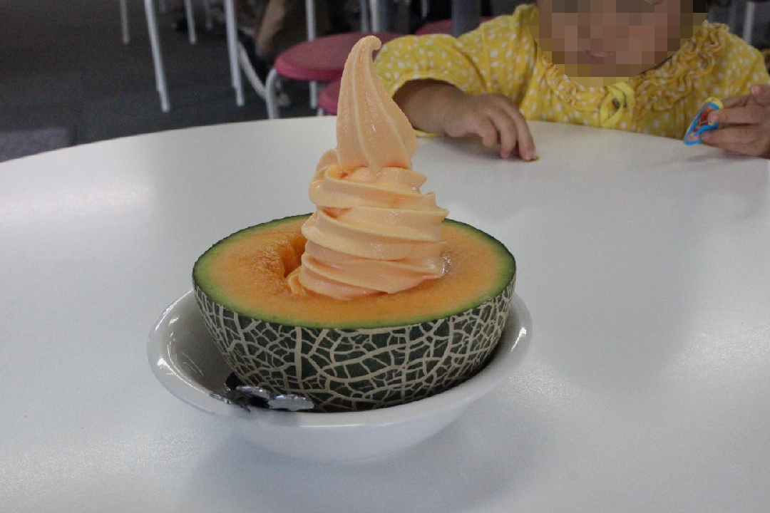 f:id:budoutorinngo:20190516234644j:plain