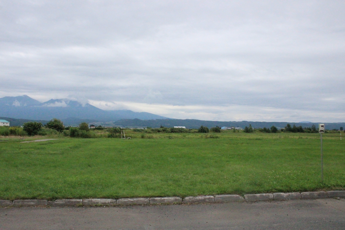 f:id:budoutorinngo:20190516234737j:plain