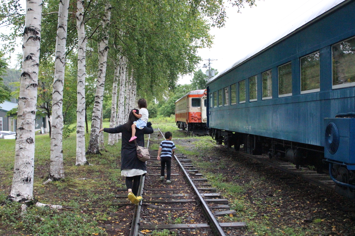 f:id:budoutorinngo:20190518221111j:plain