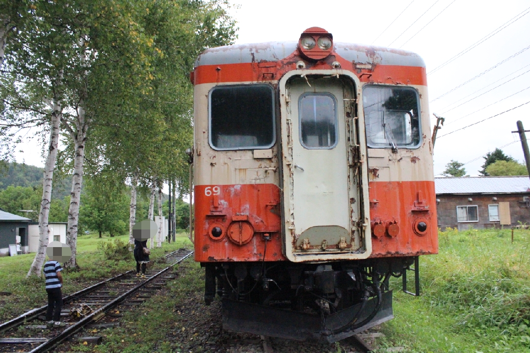 f:id:budoutorinngo:20190518221752j:plain