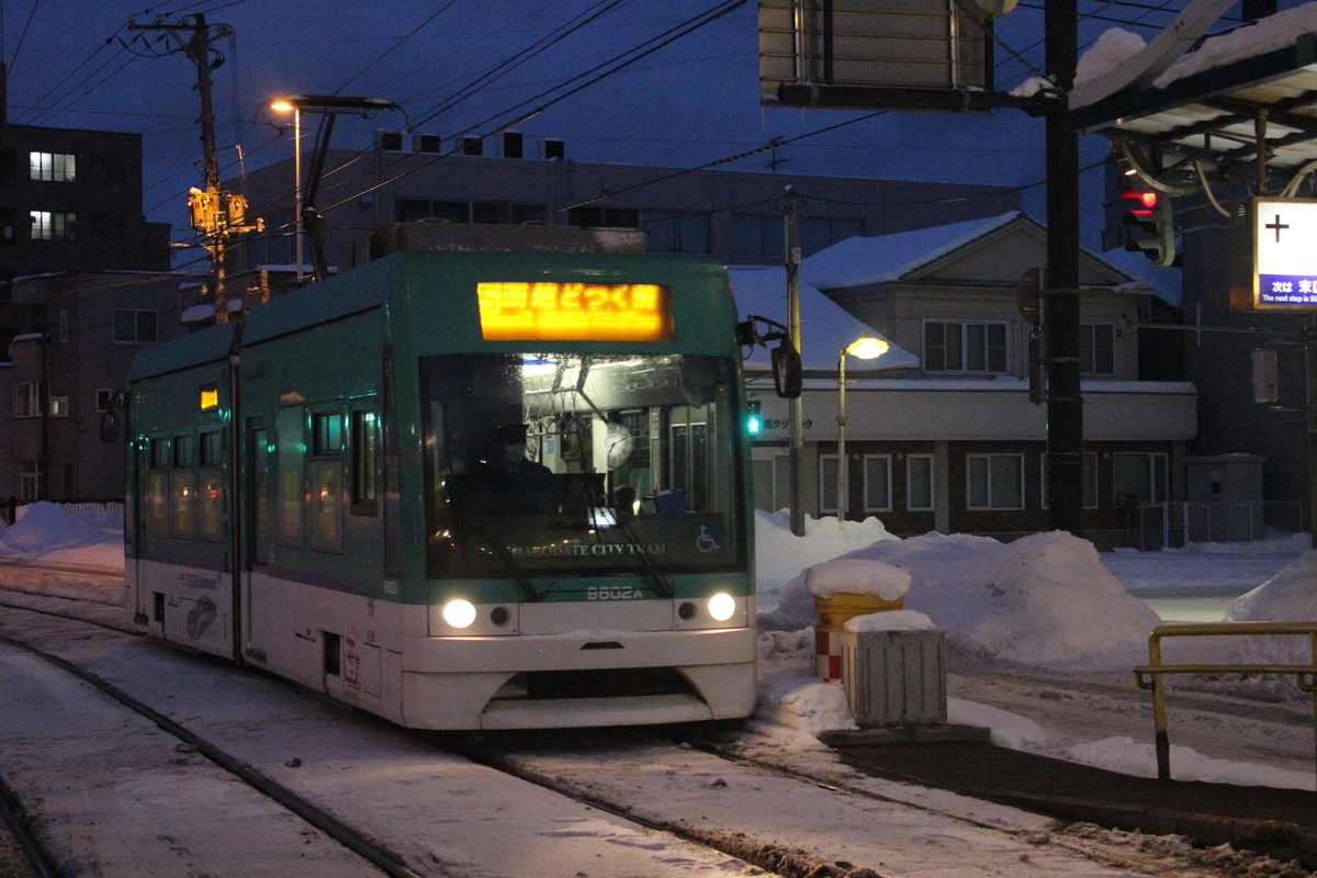 f:id:budoutorinngo:20190520231949j:plain