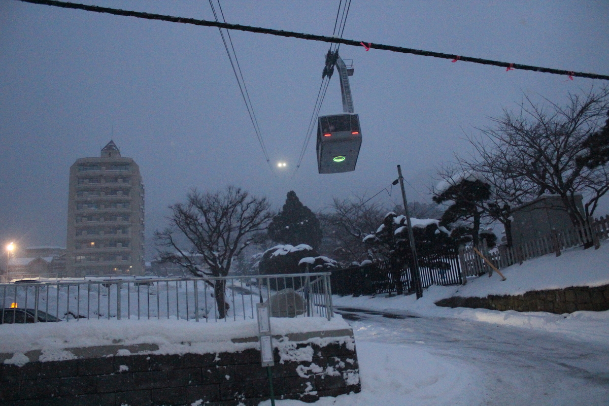 f:id:budoutorinngo:20190520233316j:plain