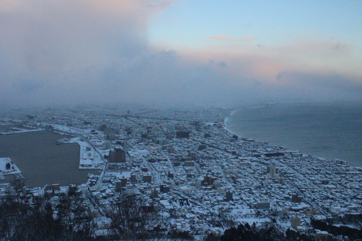 f:id:budoutorinngo:20190520235744j:plain