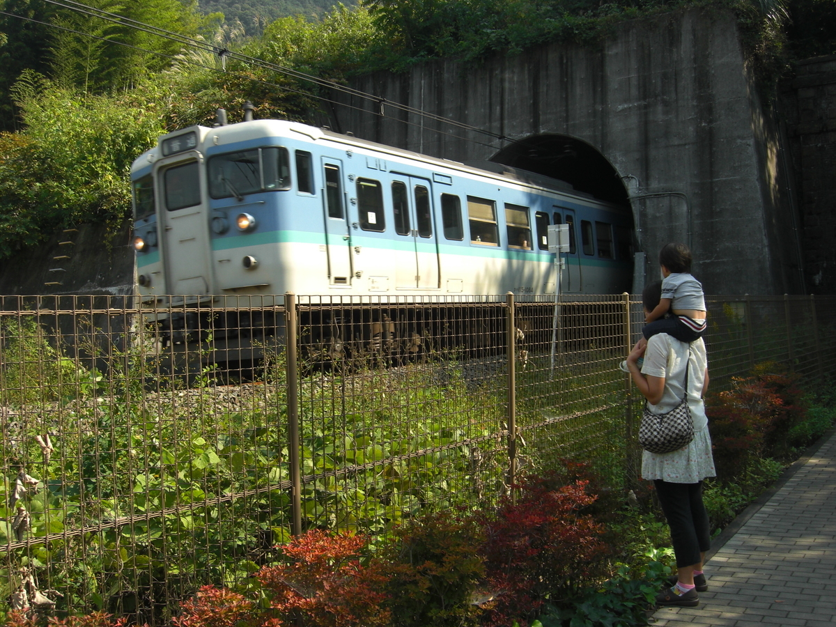 f:id:budoutorinngo:20190525231135j:plain