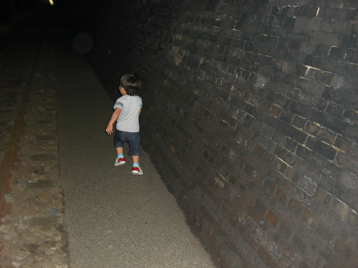 f:id:budoutorinngo:20190525231804j:plain