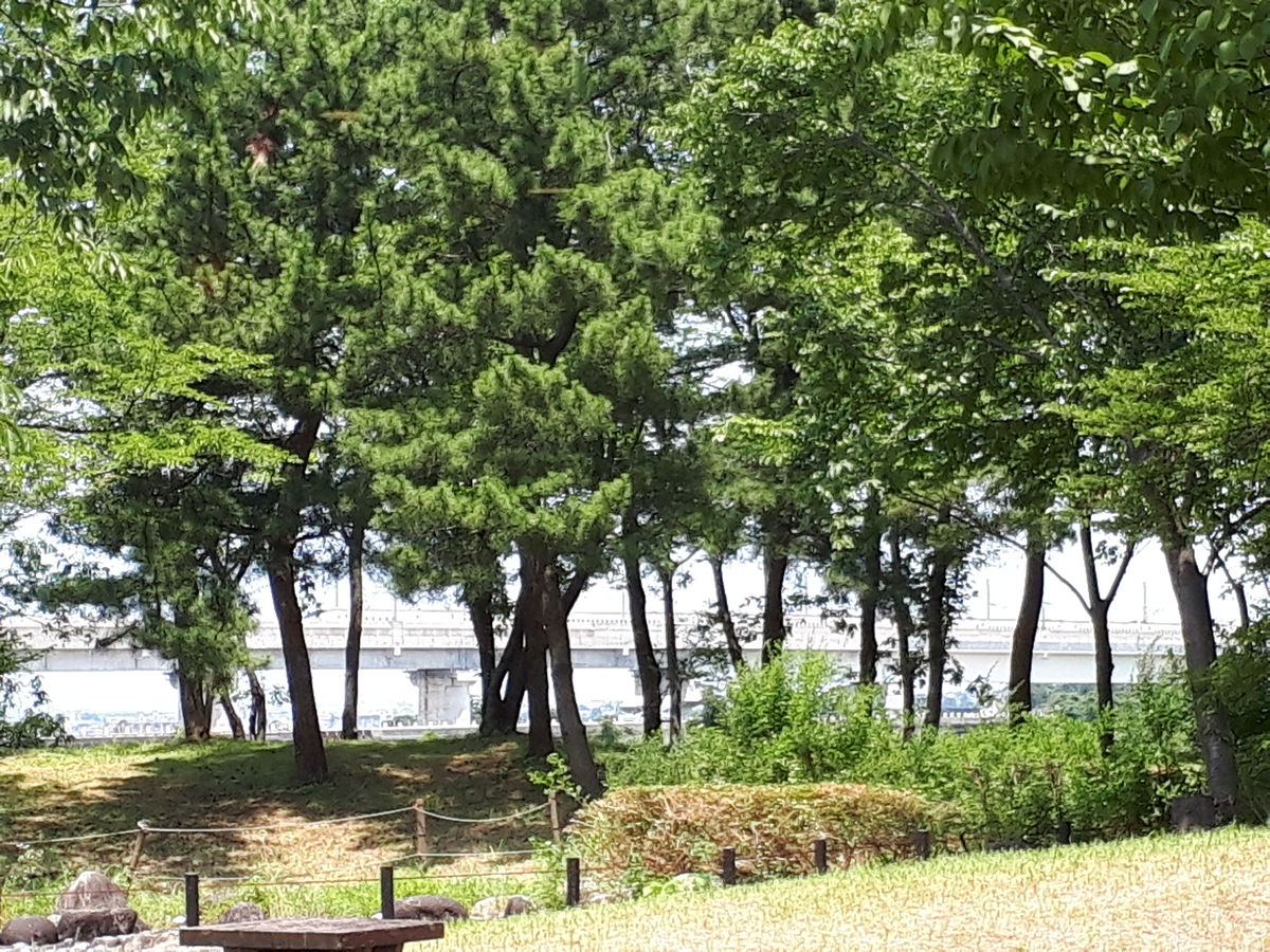 f:id:budoutorinngo:20190728232755j:plain f:id:budoutorinngo:20190728232755j:plain