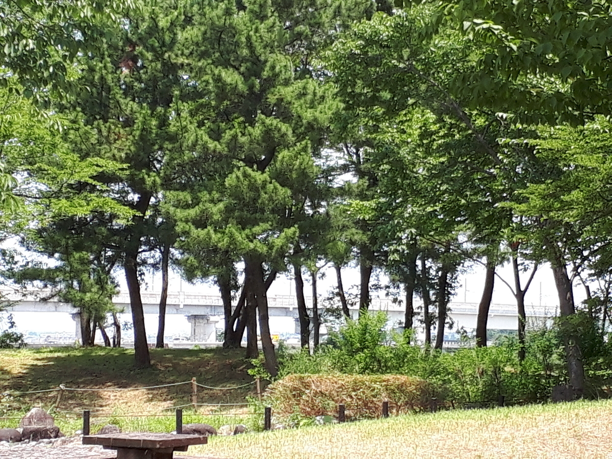 f:id:budoutorinngo:20190728233045j:plain f:id:budoutorinngo:20190728233045j:plain