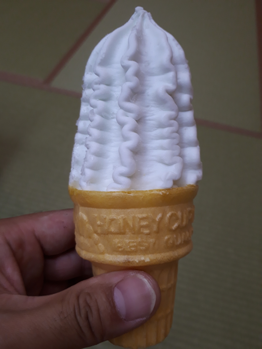 f:id:budoutorinngo:20190728235050j:plain