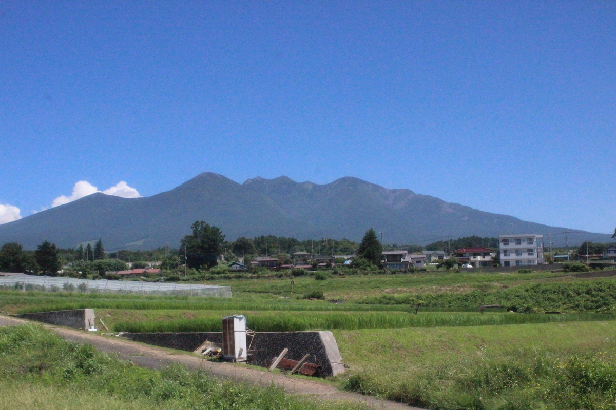 f:id:budoutorinngo:20190819221528j:plain f:id:budoutorinngo:20190819221528j:plain