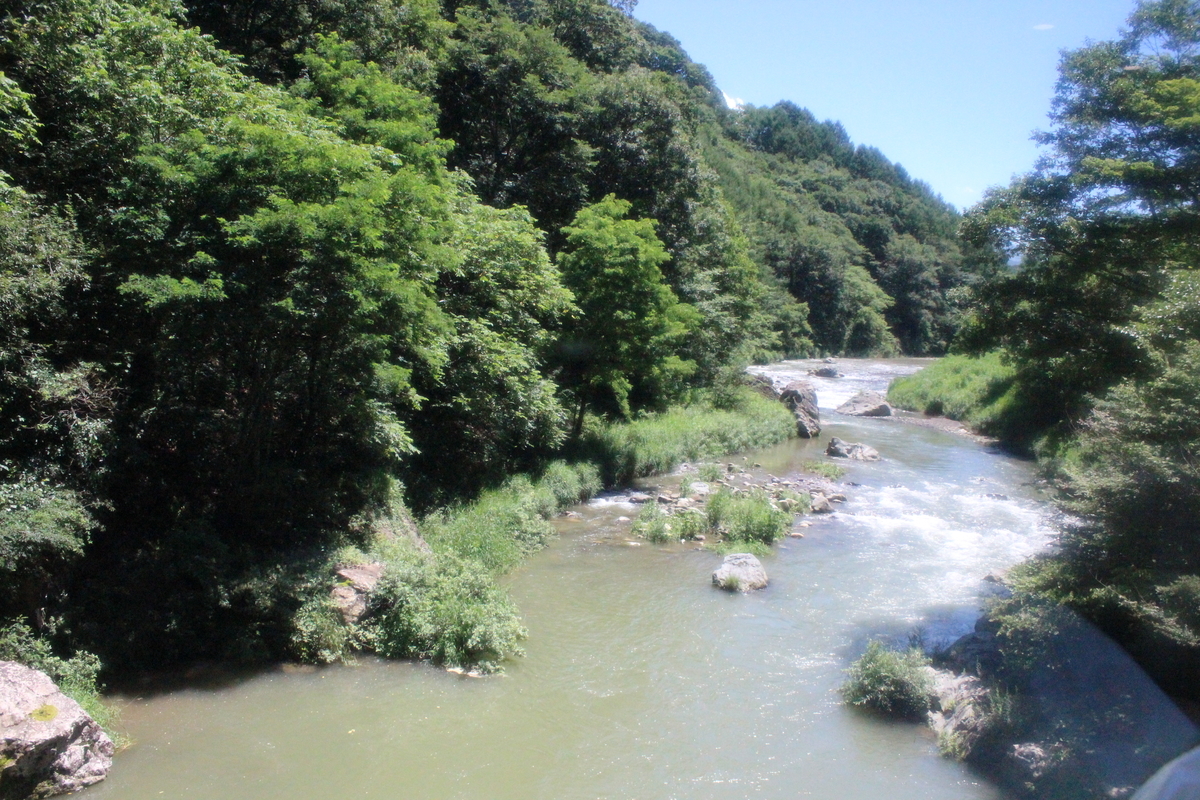 f:id:budoutorinngo:20190819232939j:plain f:id:budoutorinngo:20190819232939j:plain
