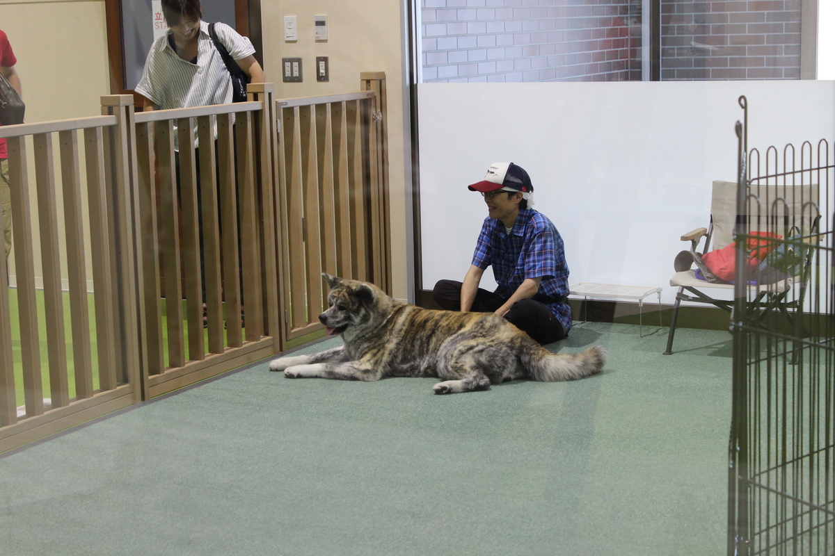 f:id:budoutorinngo:20191001231628j:plain