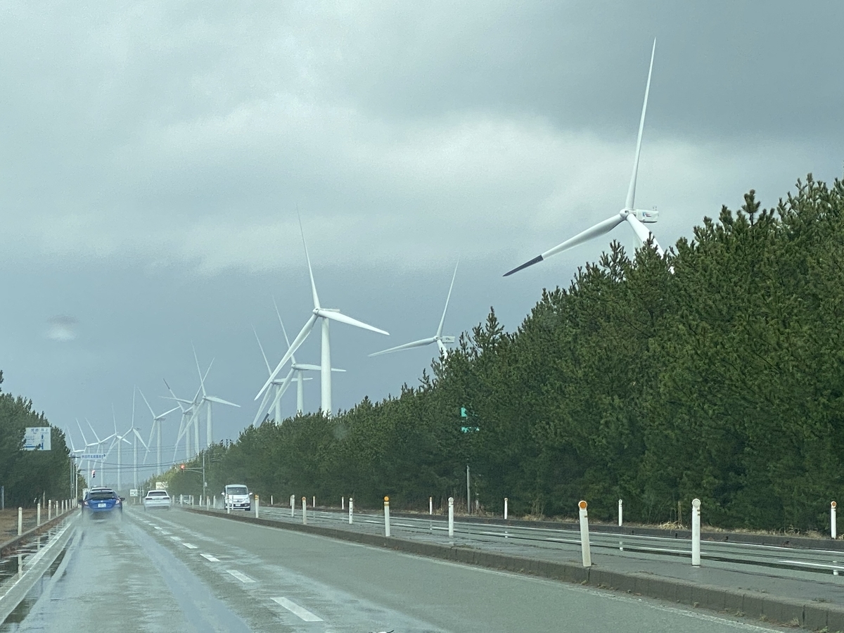 f:id:budoutorinngo:20200627174805j:plain