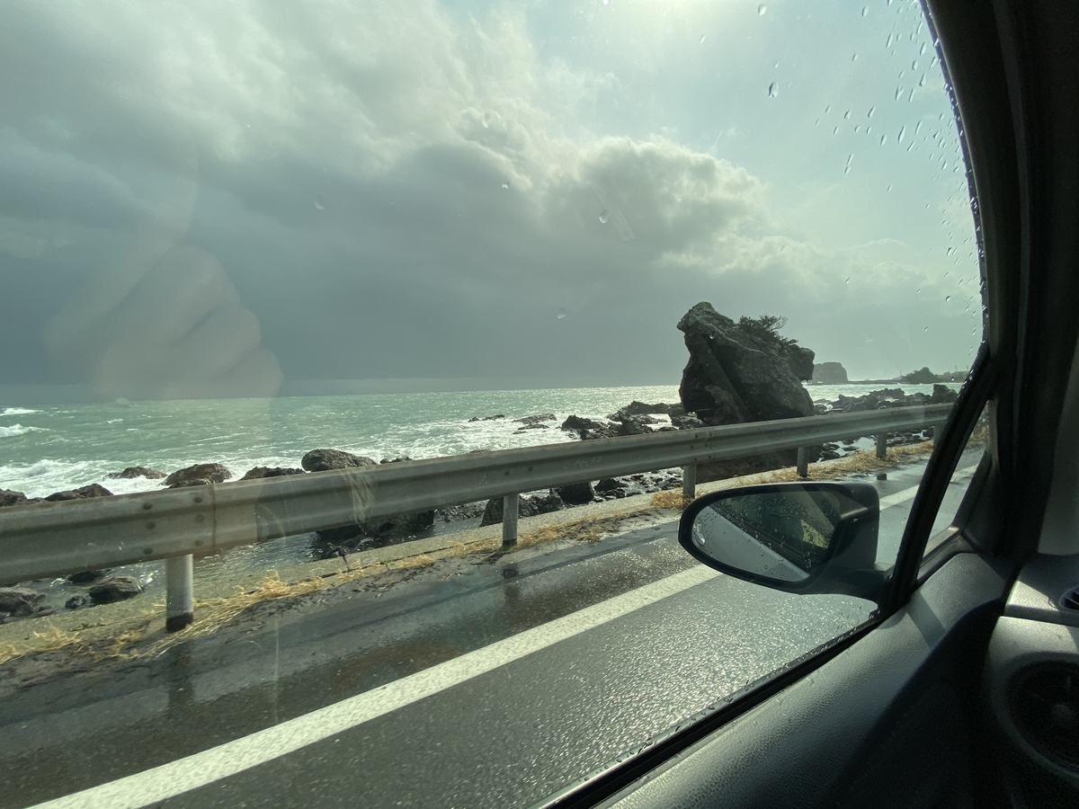 f:id:budoutorinngo:20200627181351j:plain