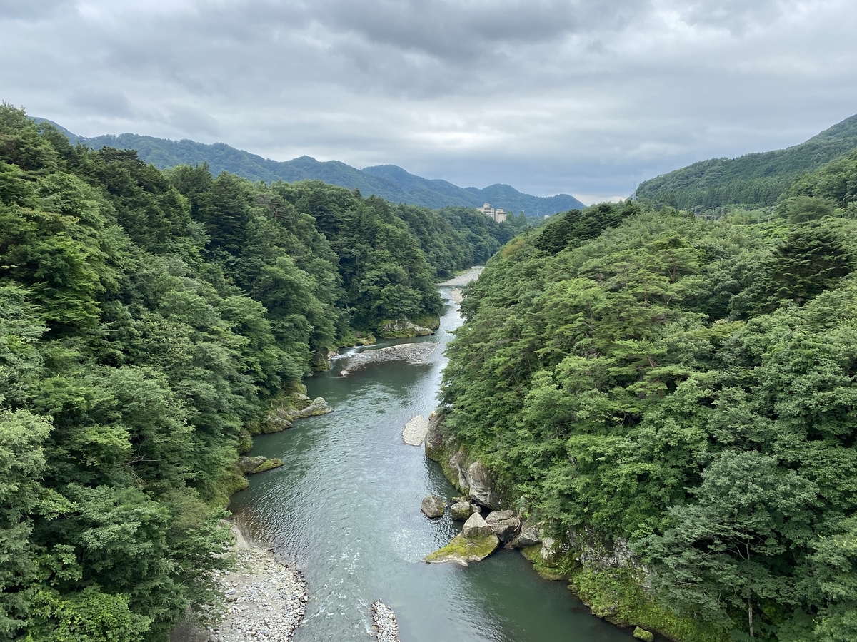 f:id:budoutorinngo:20200727103521j:plain f:id:budoutorinngo:20200727103521j:plain