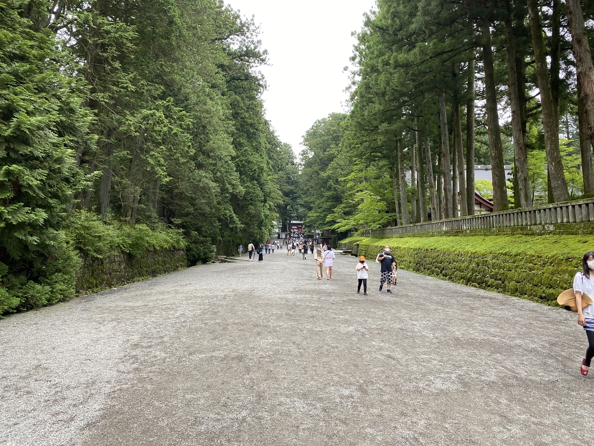 f:id:budoutorinngo:20200727110713j:plain f:id:budoutorinngo:20200727110713j:plain
