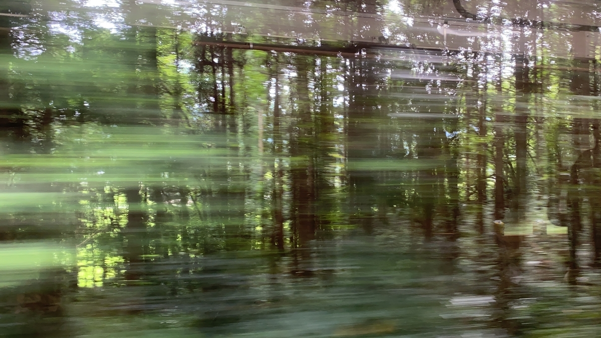 f:id:budoutorinngo:20200819002729j:plain