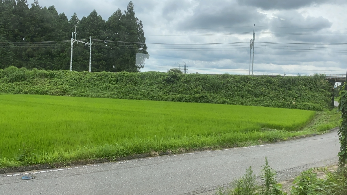 f:id:budoutorinngo:20200819003604j:plain