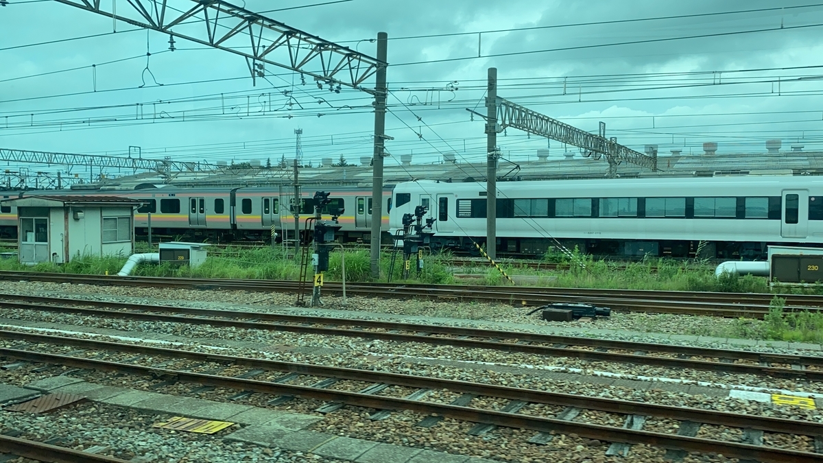 f:id:budoutorinngo:20201210002207j:plain