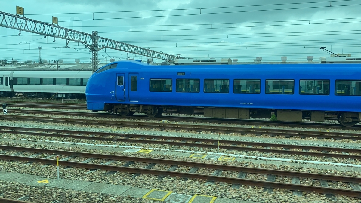 f:id:budoutorinngo:20201210002232j:plain